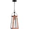 Quoizel Carolina Outdoor Hanging 1 Light Aged Copper CLN1907AC - alternate 2